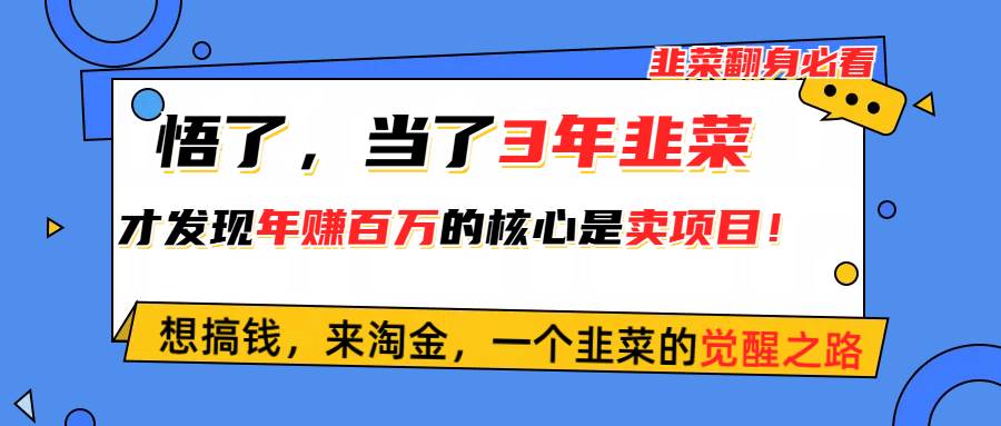 悟了，当了3年韭菜，才发现网赚圈年赚100万的核心是卖项目，含泪分享！_思维有课