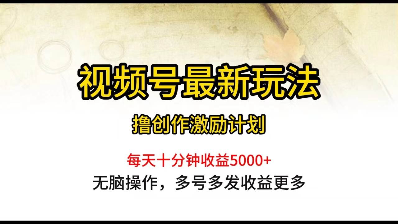 视频号最新玩法，每日一小时月入5000+_思维有课