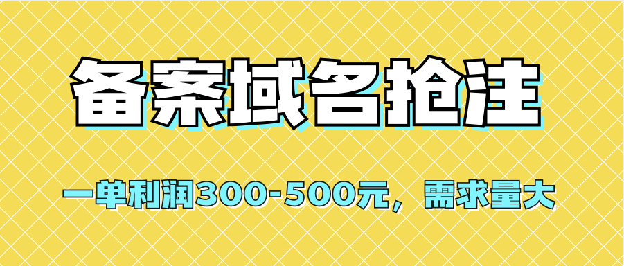 【全网首发】备案域名抢注，一单利润300-500元，需求量大_思维有课