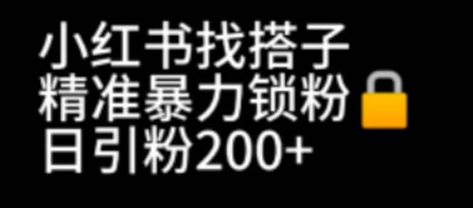 小红书找搭子暴力精准锁粉+引流日引200+精准粉_思维有课