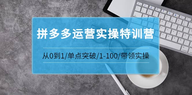 拼多多运营实操特训营：从0到1/单点突破/1-100/带领实操 价值2980元_思维有课