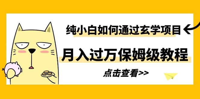 纯小白如何通过玄学项目月入过万保姆级教程_思维有课