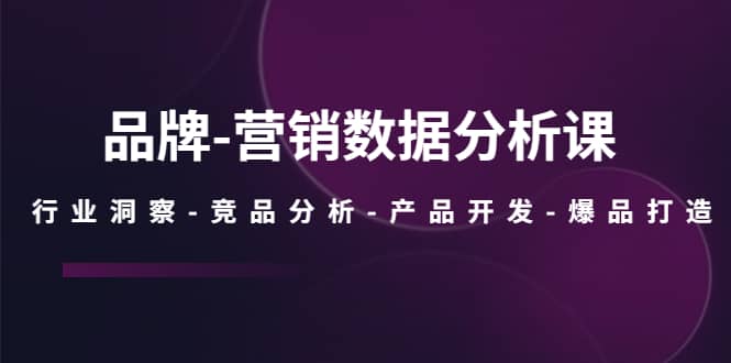 品牌-营销数据分析课，行业洞察-竞品分析-产品开发-爆品打造_思维有课