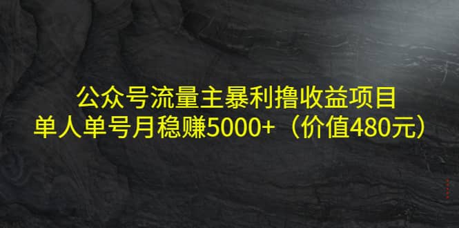 公众号流量主暴利撸收益项目，单人单号月稳赚5000+（价值480元）_网创工坊