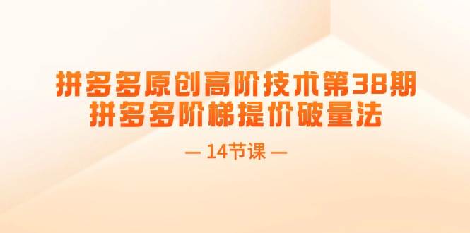 拼多多原创高阶技术第38期，拼多多阶梯提价破量法（14节课）_思维有课