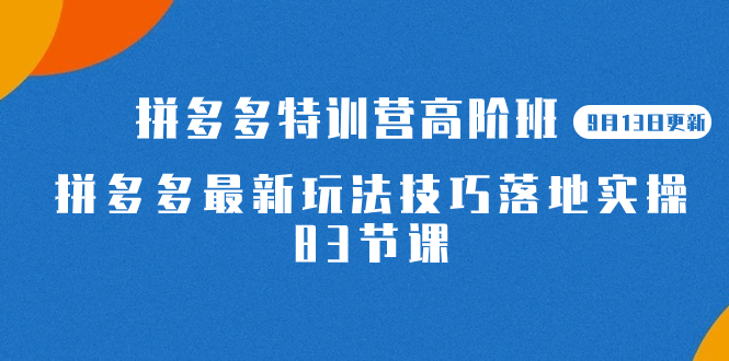 2023拼多多·特训营高阶班【9月13日更新】拼多多最新玩法技巧落地实操-83节_思维有课