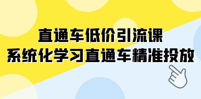 直通车-低价引流课，系统化学习直通车精准投放（14节课）_思维有课