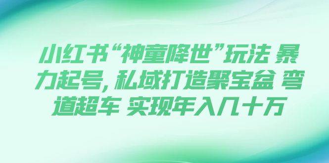 小红书“神童降世”玩法 暴力起号,私域打造聚宝盆 弯道超车 实现年入几十万_思维有课