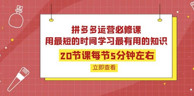 拼多多运营必修课：20节课每节5分钟左右，用最短的时间学习最有用的知识_思维有课