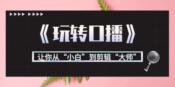 月营业额700万+大佬教您《玩转口播》让你从“小白”到剪辑“大师”_思维有课