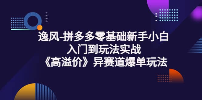 拼多多零基础新手小白入门到玩法实战《高溢价》异赛道爆单玩法实操课_思维有课