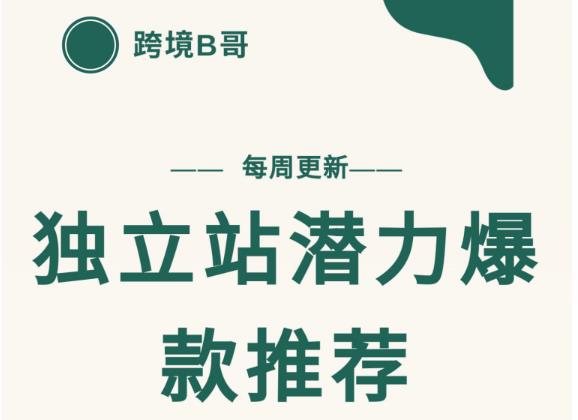 【跨境B哥】独立站潜力爆款选品推荐，测款出单率高达百分之80（每周更新）_思维有课