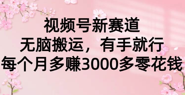 视频号新赛道，无脑搬运，有手就行，每个月多赚3000多零花钱_思维有课