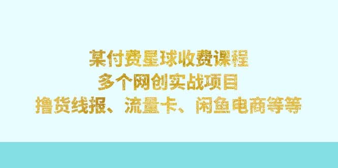 某付费星球课程：多个网创实战项目，撸货线报、流量卡、闲鱼电商等等_思维有课