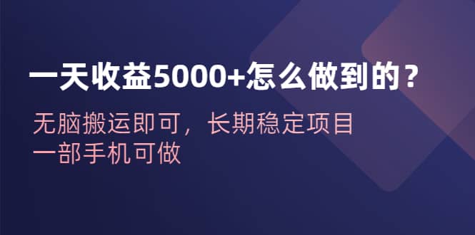 一天收益5000+怎么做到的？无脑搬运即可，长期稳定项目，一部手机可做_思维有课