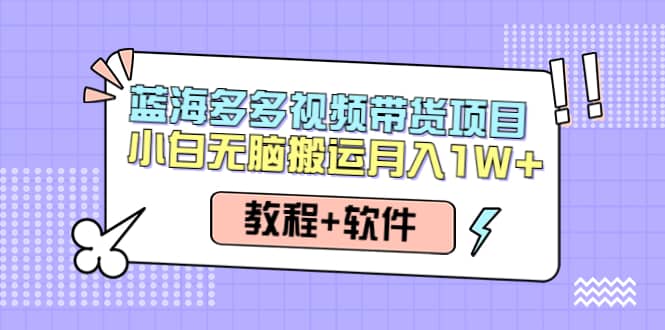 人人都能操作的蓝海多多视频带货项目 小白无脑搬运（教程+软件）_思维有课