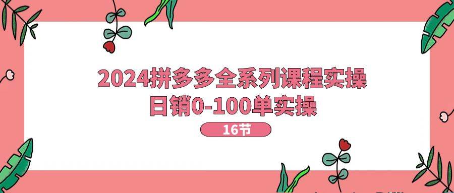 2024拼多多全系列课程实操，日销0-100单实操【16节课】_思维有课