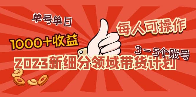 2023新细分领域带货计划：单号单日1000+收益不难，每人可操作3-5个账号_思维有课