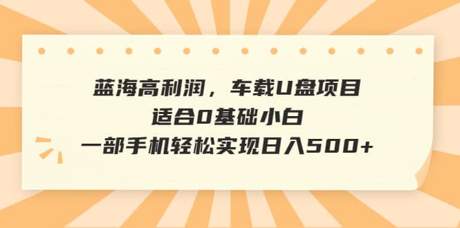 蓝海高利润，车载U盘项目，适合0基础小白，一部手机轻松实现日入500+_思维有课