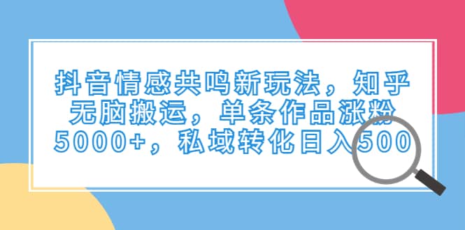 抖音情感共鸣新玩法，知乎无脑搬运，单条作品涨粉5000+，私域转化日入500_思维有课