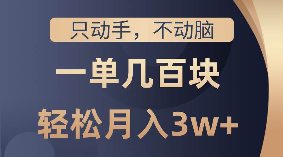 只动手不动脑，一单几百块，轻松月入3w+，看完就能直接操作，详细教程_思维有课