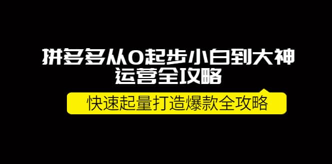 拼多多从0起步小白到大神运营全攻略_思维有课