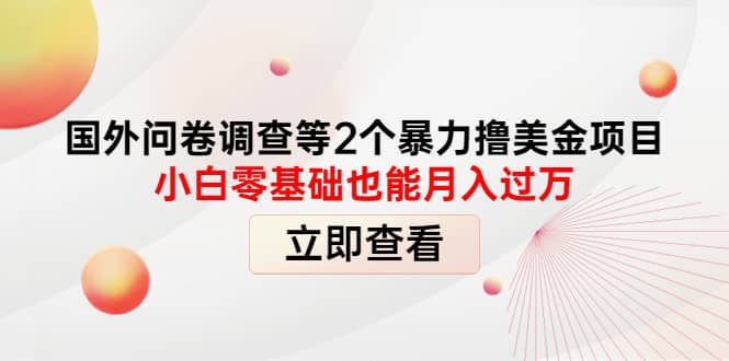 国外问卷调查等2个暴力撸美元项目，小白零基础也能月入过万_思维有课