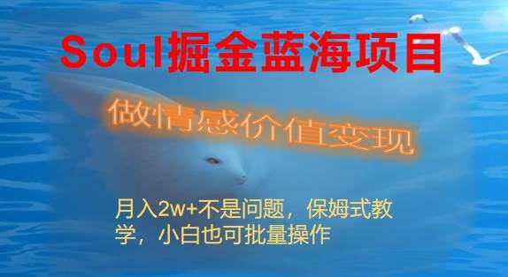 Soul掘金蓝海项目细分赛道，做情感价值变现，月入2w+不是问题_思维有课