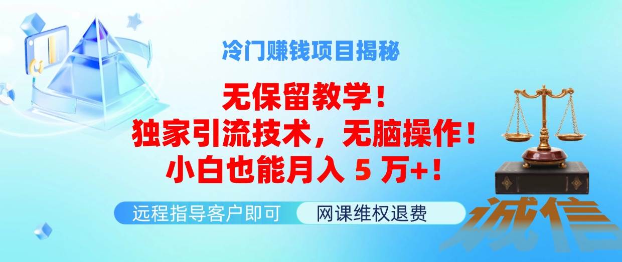 冷门赚钱项目无保留教学！独家引流技术，无脑操作！小白也能月入5万+！_思维有课