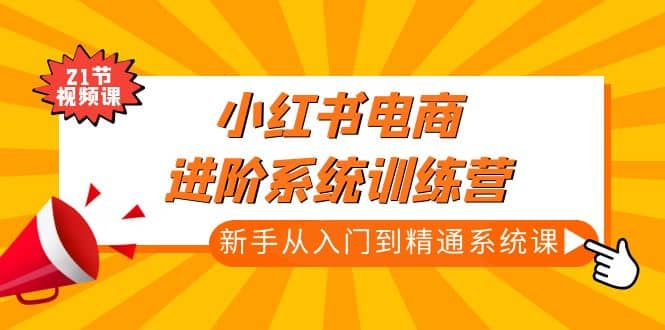 小红书电商进阶系统训练营：新手从入门到精通系统课（21节视频课）_思维有课