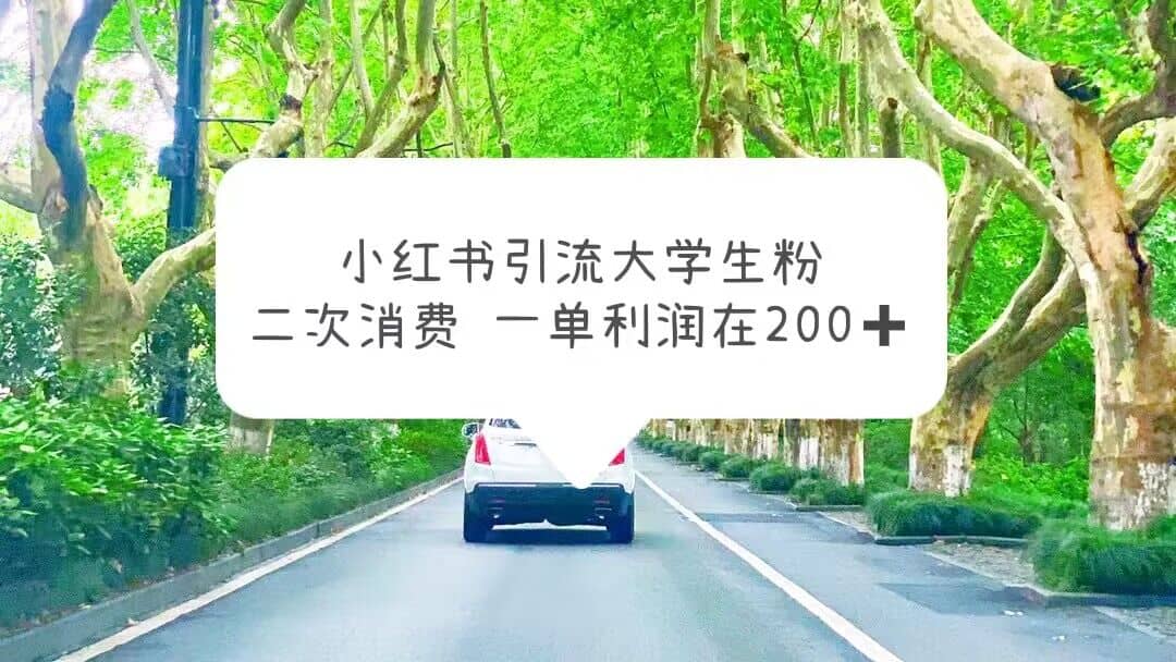 小红书引流大学生粉，变现项目，一单利润在200+（教程+资源）_思维有课