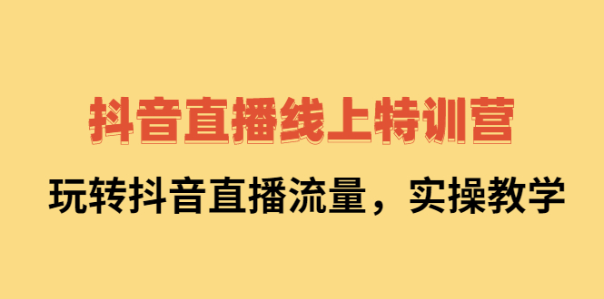 抖音直播线上特训营：玩转抖音直播流量，实操教学_网创工坊