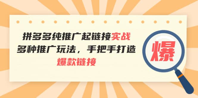 拼多多纯推广起链接实战：多种推广玩法，手把手打造爆款链接_思维有课