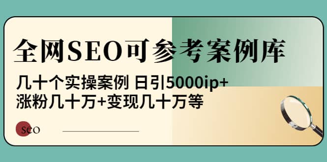 《全网SEO可参考案例库》几十个实操案例_思维有课