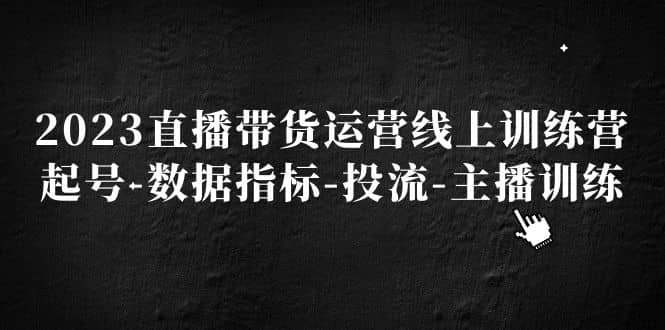 2023直播带货运营线上训练营，起号-数据指标-投流-主播训练_思维有课