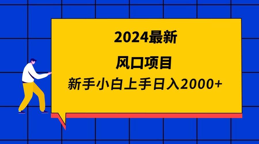 2024最新风口项目 新手小白日入2000+_思维有课