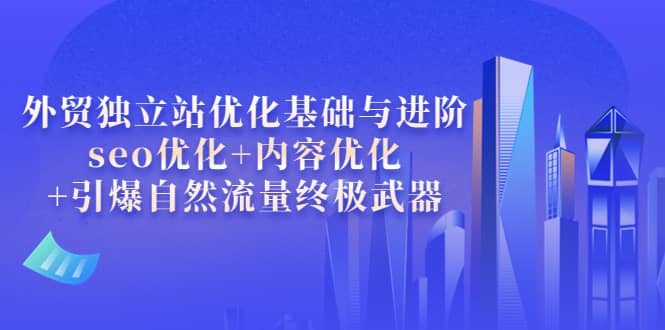 外贸独立站优化基础与进阶，seo优化+内容优化+引爆自然流量终极武器_思维有课