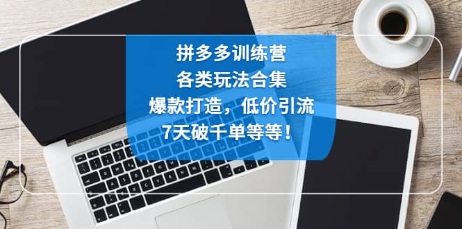 拼多多训练营：各玩法合集，爆款打造，低价引流，7天破千单等等_思维有课