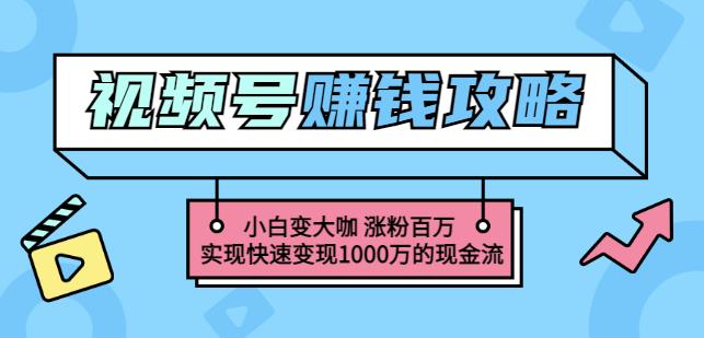 玩转微信视频号赚钱：小白变大咖涨粉百万实现快速变现1000万的现金流_思维有课