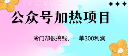 冷门公众号加热项目，一单利润300+_思维有课