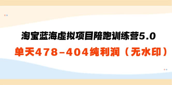 淘宝蓝海虚拟项目陪跑训练营5.0：单天478纯利润（无水印）_思维有课