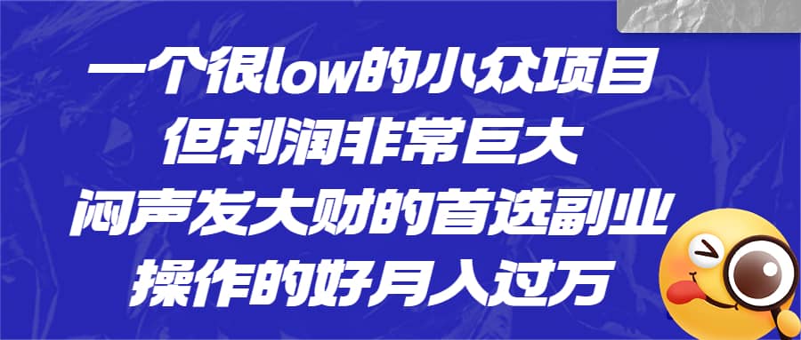 一个很low的小众项目，但利润非常巨大，闷声发大财的首选副业，月入过万_思维有课