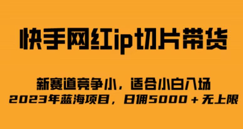 快手网红ip切片新赛道，竞争小事，适合小白 2023蓝海项目_思维有课