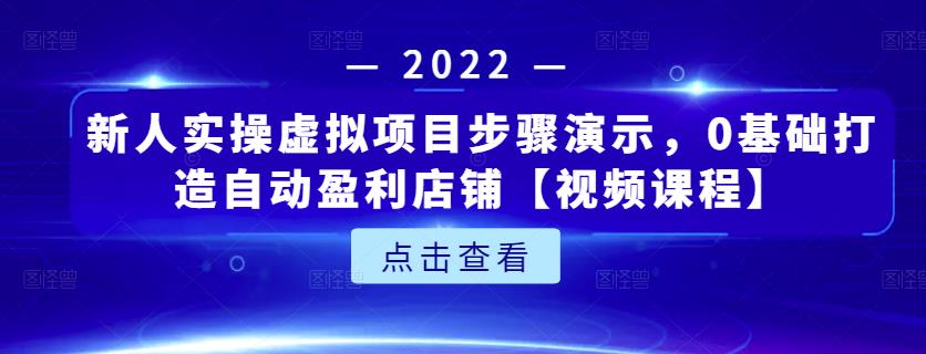 新人实操虚拟项目步骤演示，0基础打造自动盈利店铺【视频课程】_思维有课