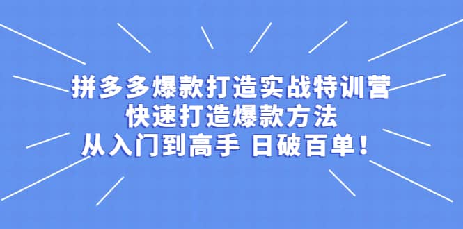 拼多多爆款打造实战特训营：快速打造爆款方法，从入门到高手 日破百单_思维有课