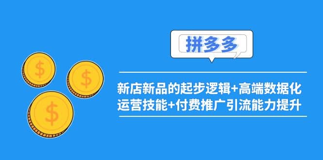 2022拼多多：新店新品的起步逻辑+高端数据化运营技能+付费推广引流能力提升_思维有课