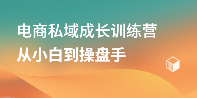 电商私域成长训练营，从小白到操盘手_思维有课