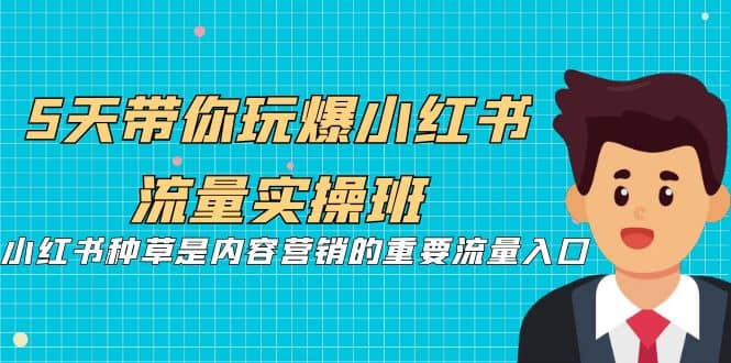 5天带你玩爆小红书流量实操班，小红书种草是内容营销的重要流量入口_思维有课