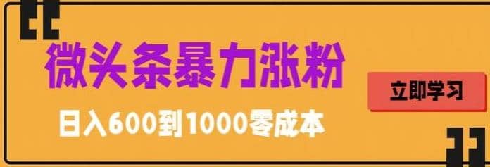 微头条暴力涨粉技巧搬运文案就能涨几万粉丝，简单0成本，日赚600_思维有课