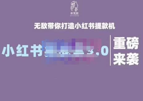 谢无敌·小红书实战营3.0，无敌带你打造小红书提款机 价值7999元_思维有课